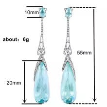 Crystal Decor Drop Earrings